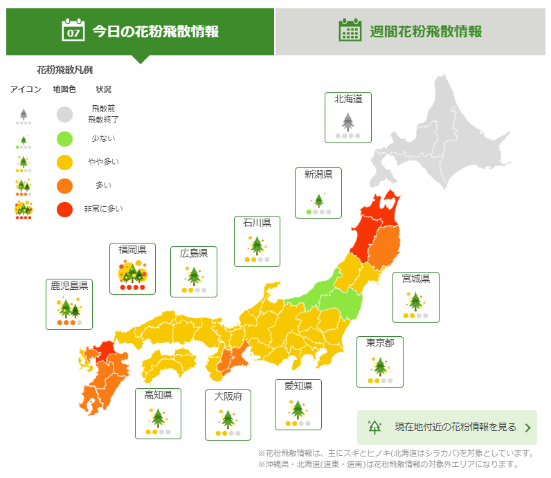 花粉飛散情報 2024 日本気象協会 tenki.jp